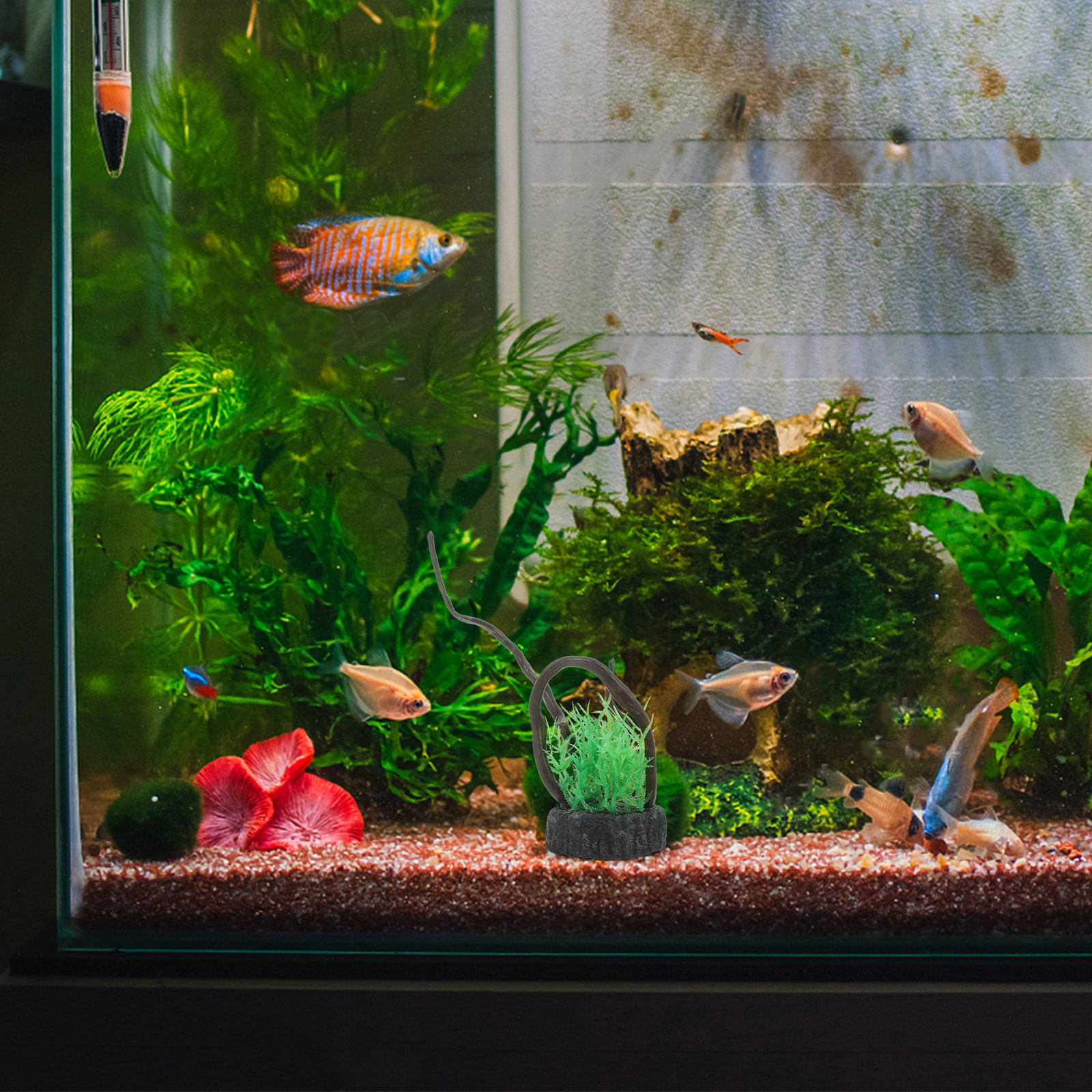 Realistic Artificial Aquarium  - Non Planted Aquarium Fish incelemesi ve fiyatı