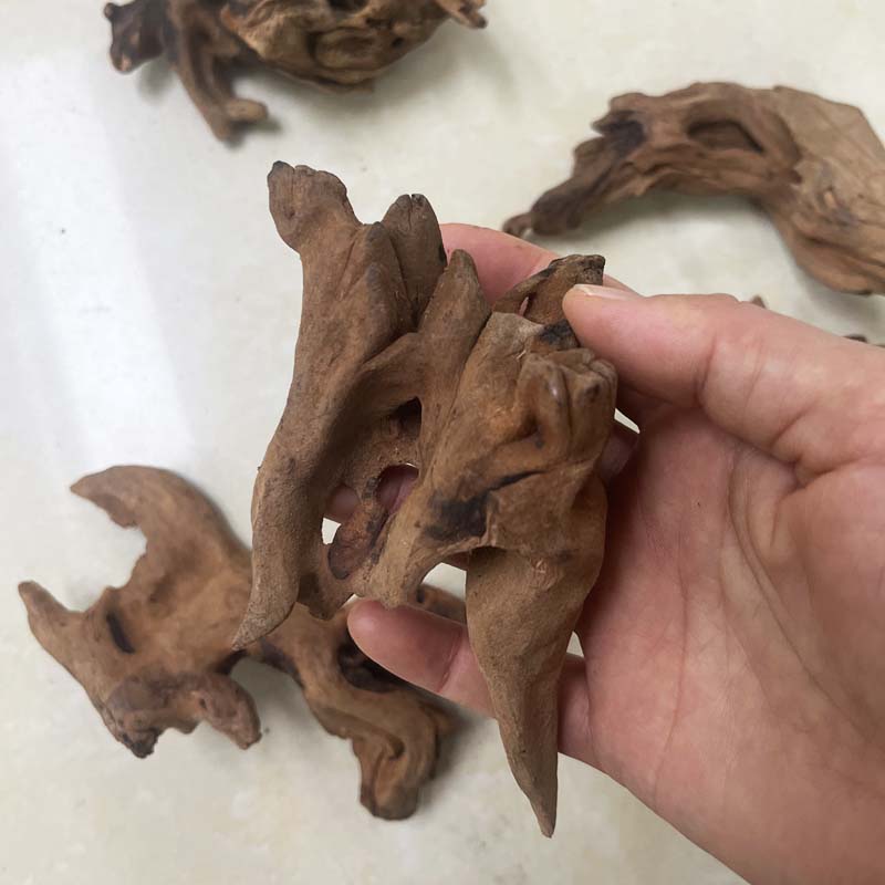 1PC Natural Aquarium Sinkable  - Planted Aquarium With Driftwood incelemesi ve fiyatı