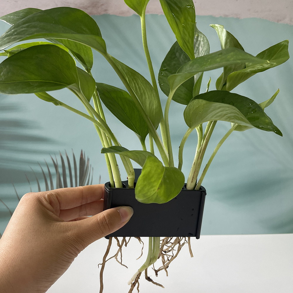 Aquarium Plant Holder with Han - Aquarium Planted Tank Substrate incelemesi ve fiyatı