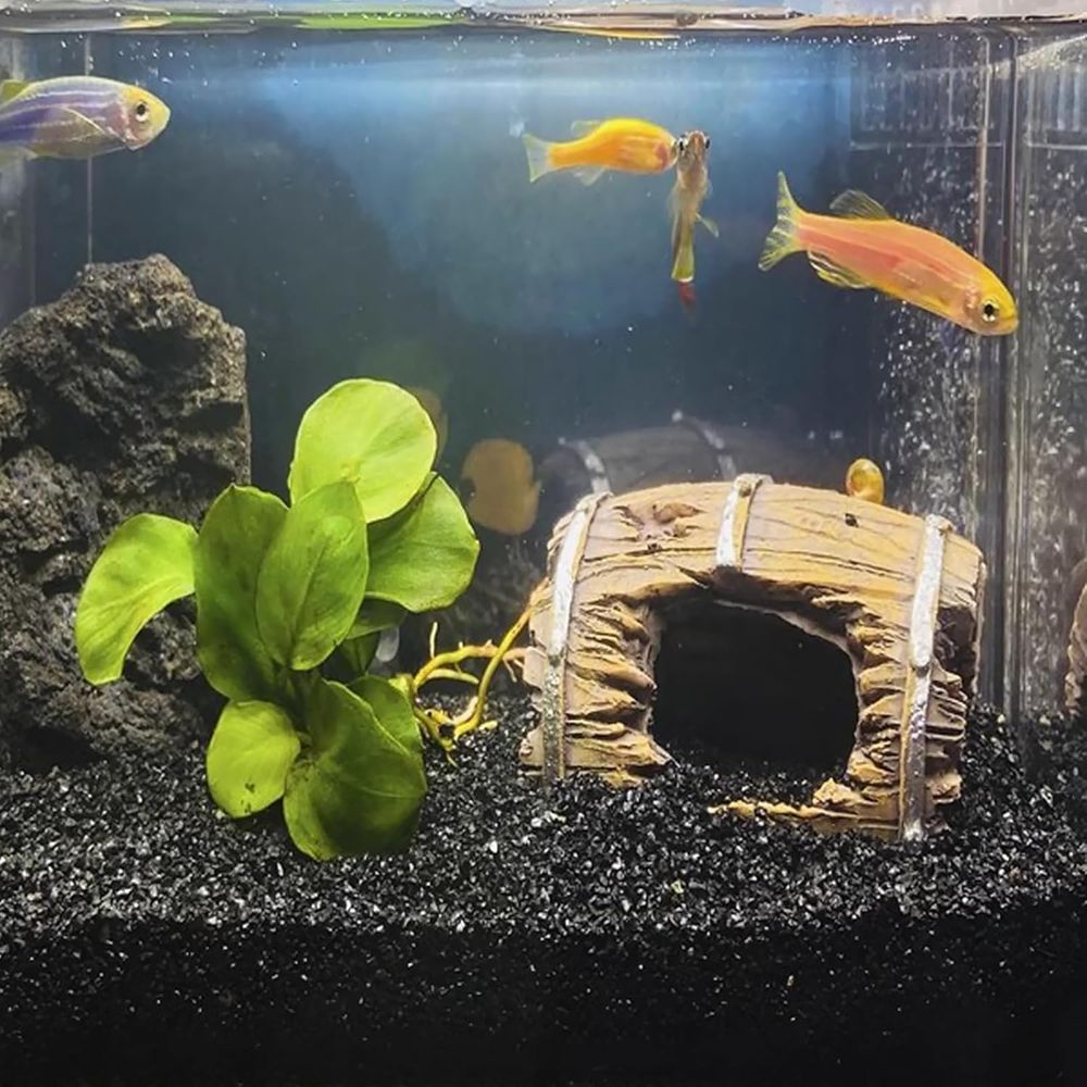 ANTIAN 20 lbs Black Silica San - Aquarium Planted Tank Substrate incelemesi ve fiyatı