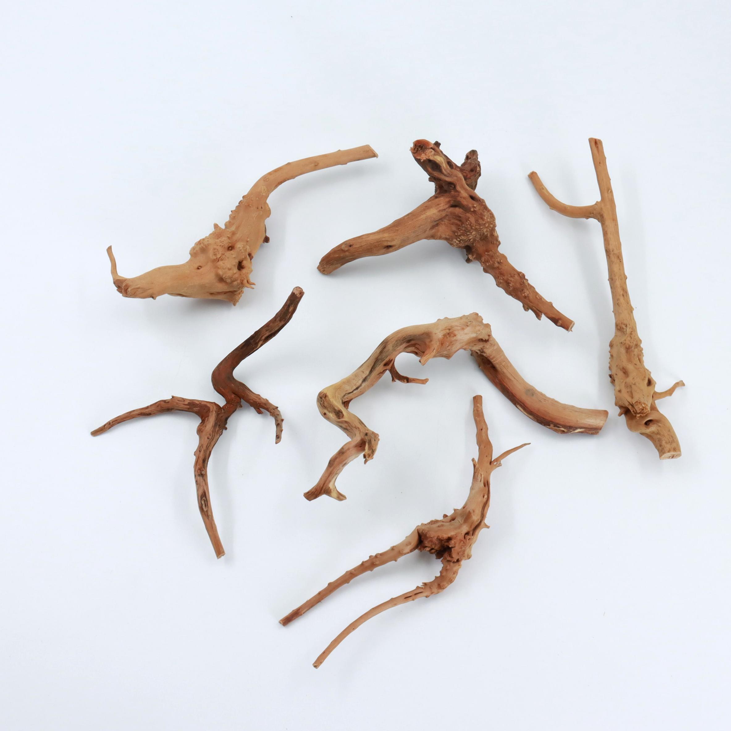 2 pcs Natural Small Spiderwood - Planted Aquarium With Driftwood incelemesi ve fiyatı