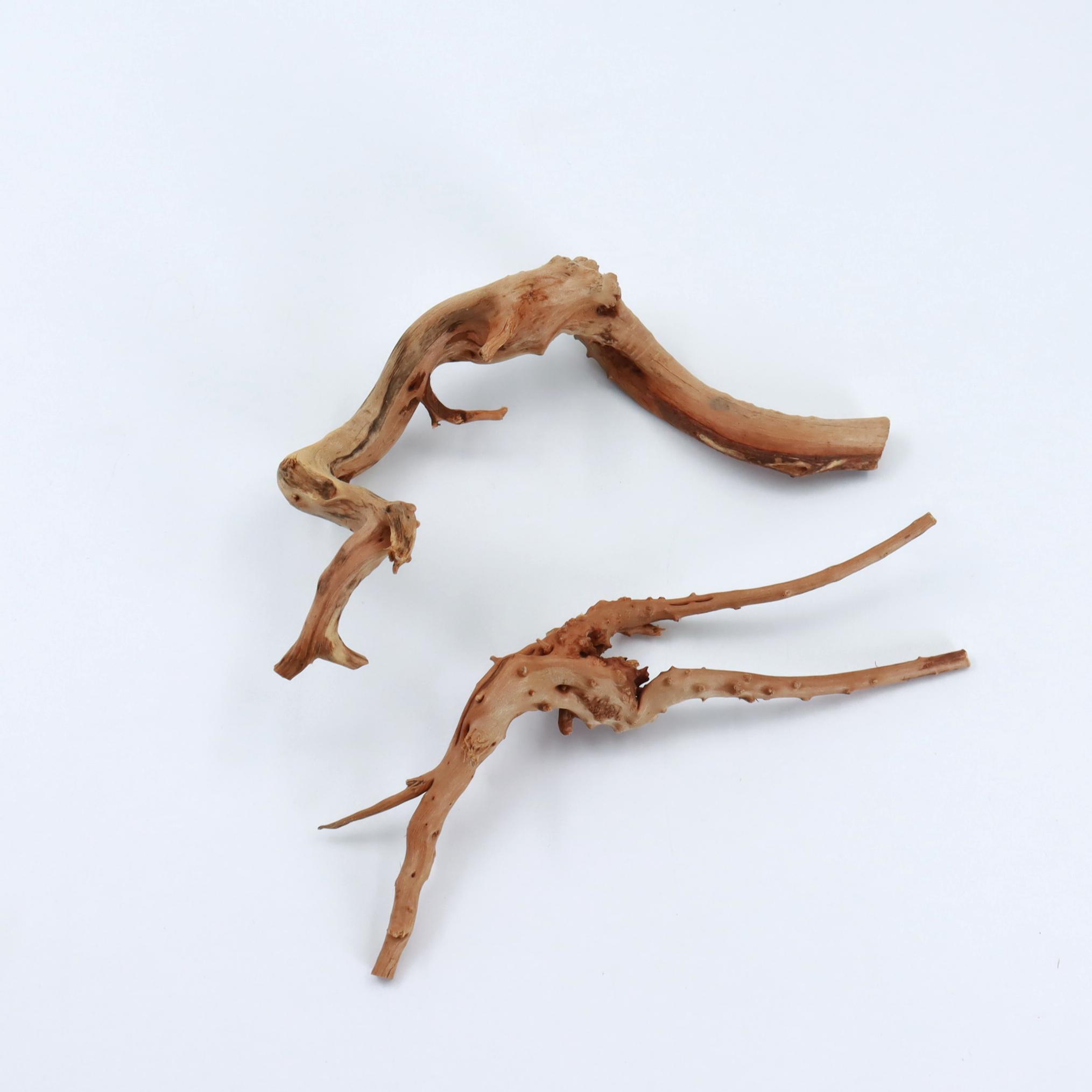 2 pcs Natural Small Spiderwood - Planted Aquarium With Driftwood incelemesi ve fiyatı