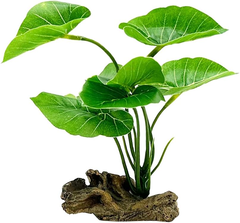 Betta Leaf Hammock 6in Plastic - Planted Aquarium Betta incelemesi ve fiyatı