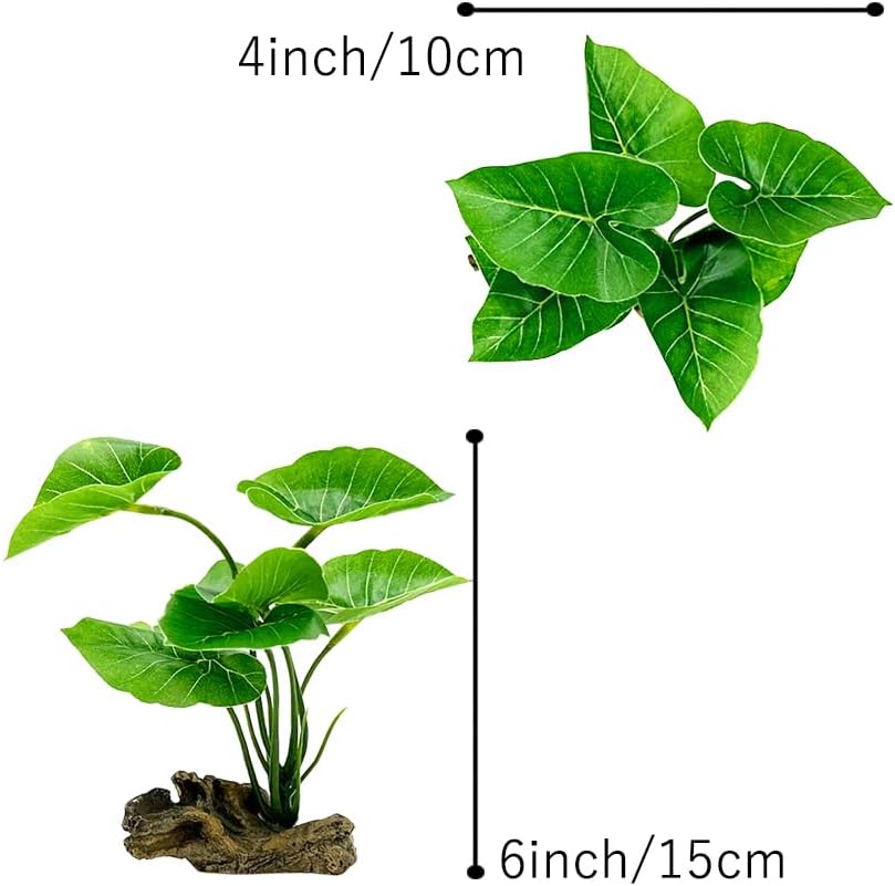 Betta Leaf Hammock 6in Plastic - Planted Aquarium Betta incelemesi ve fiyatı