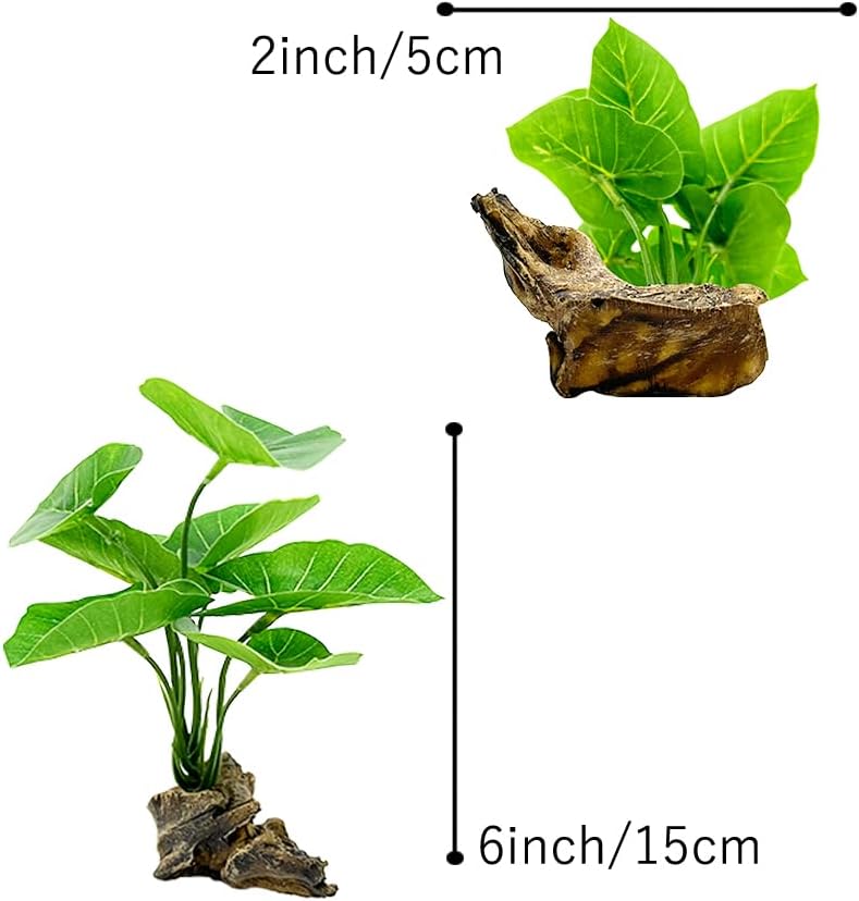 Betta Leaf Hammock 6in Plastic - Planted Aquarium Betta incelemesi ve fiyatı