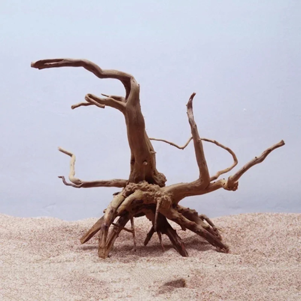 Natural Tree Trunk Driftwood A - Planted Aquarium With Driftwood incelemesi ve fiyatı