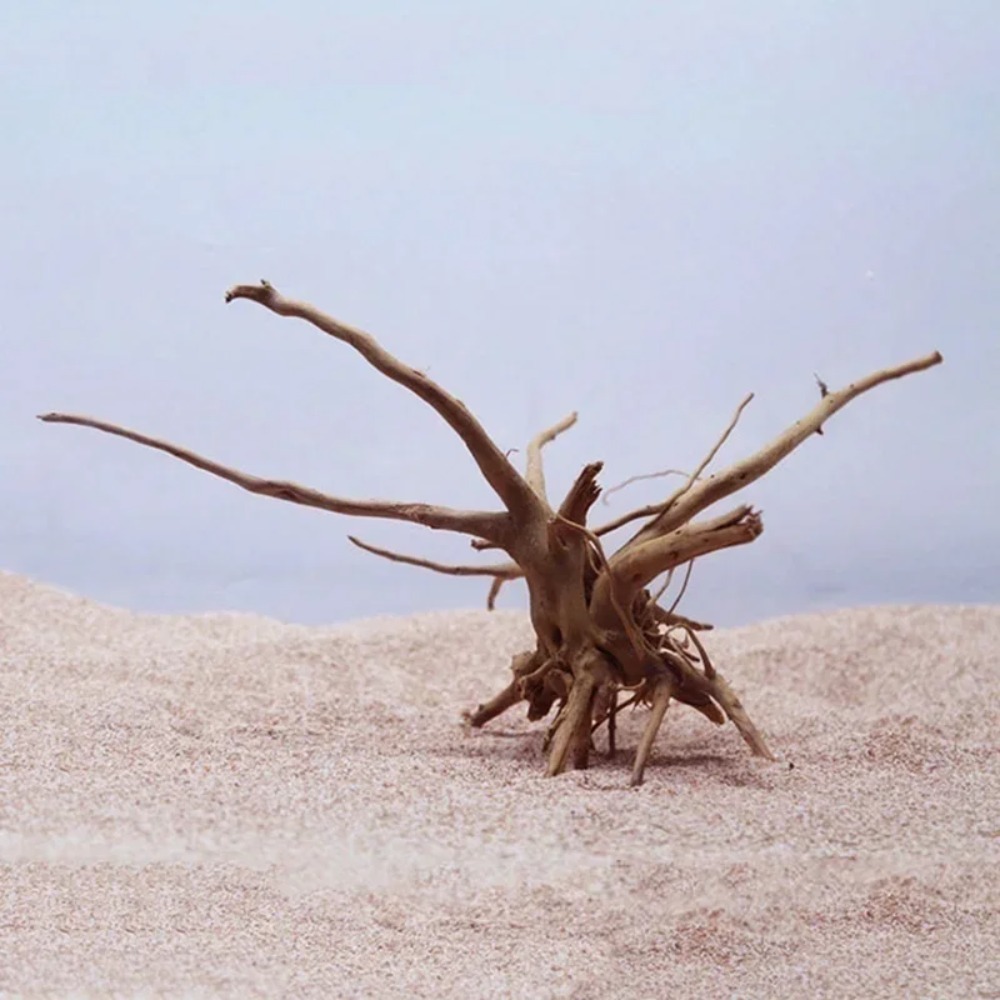 Natural Tree Trunk Driftwood A - Planted Aquarium With Driftwood incelemesi ve fiyatı