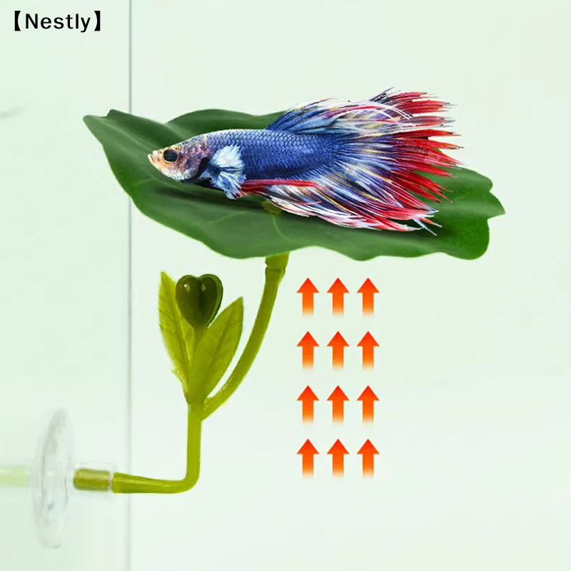 1Pc Green Leaf Hammock For Bet - Planted Aquarium Betta incelemesi ve fiyatı