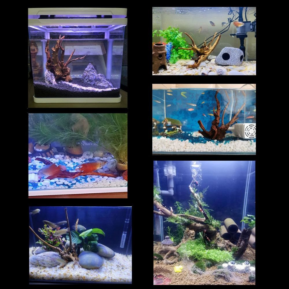 20-25CM Large Aquarium Driftwo - Planted Aquarium With Driftwood incelemesi ve fiyatı