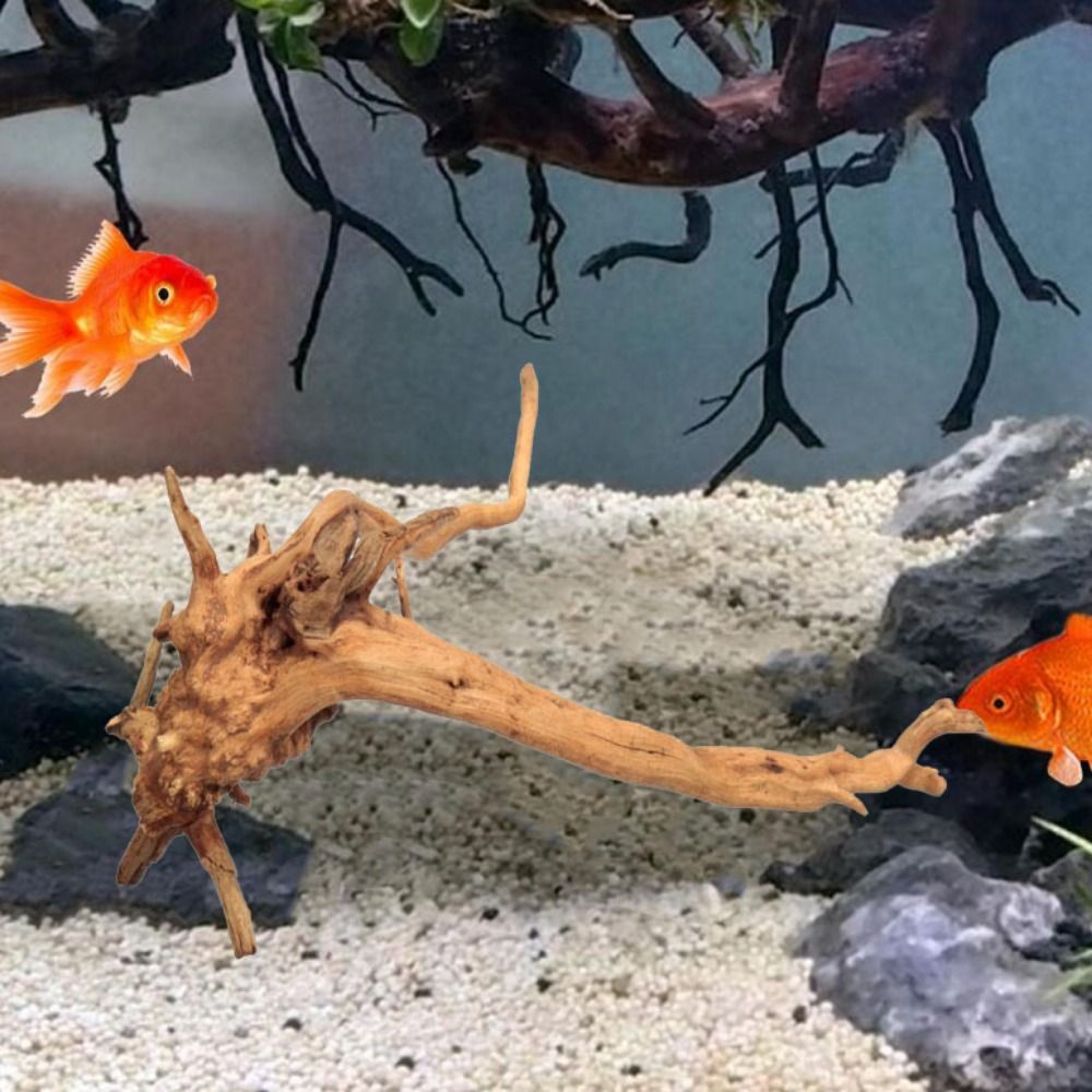 20-25CM Large Aquarium Driftwo - Planted Aquarium With Driftwood incelemesi ve fiyatı