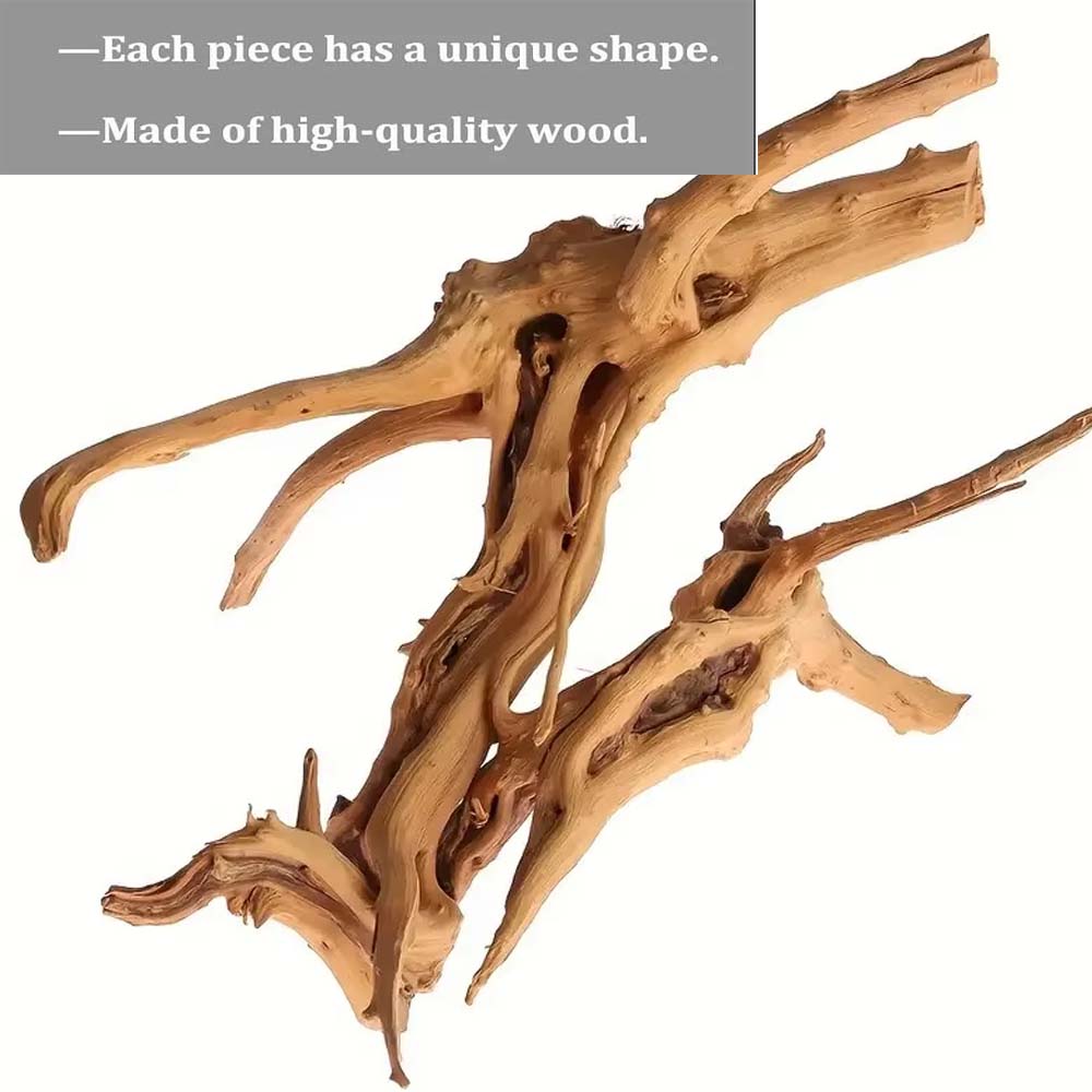 20-25CM Large Aquarium Driftwo - Planted Aquarium With Driftwood incelemesi ve fiyatı