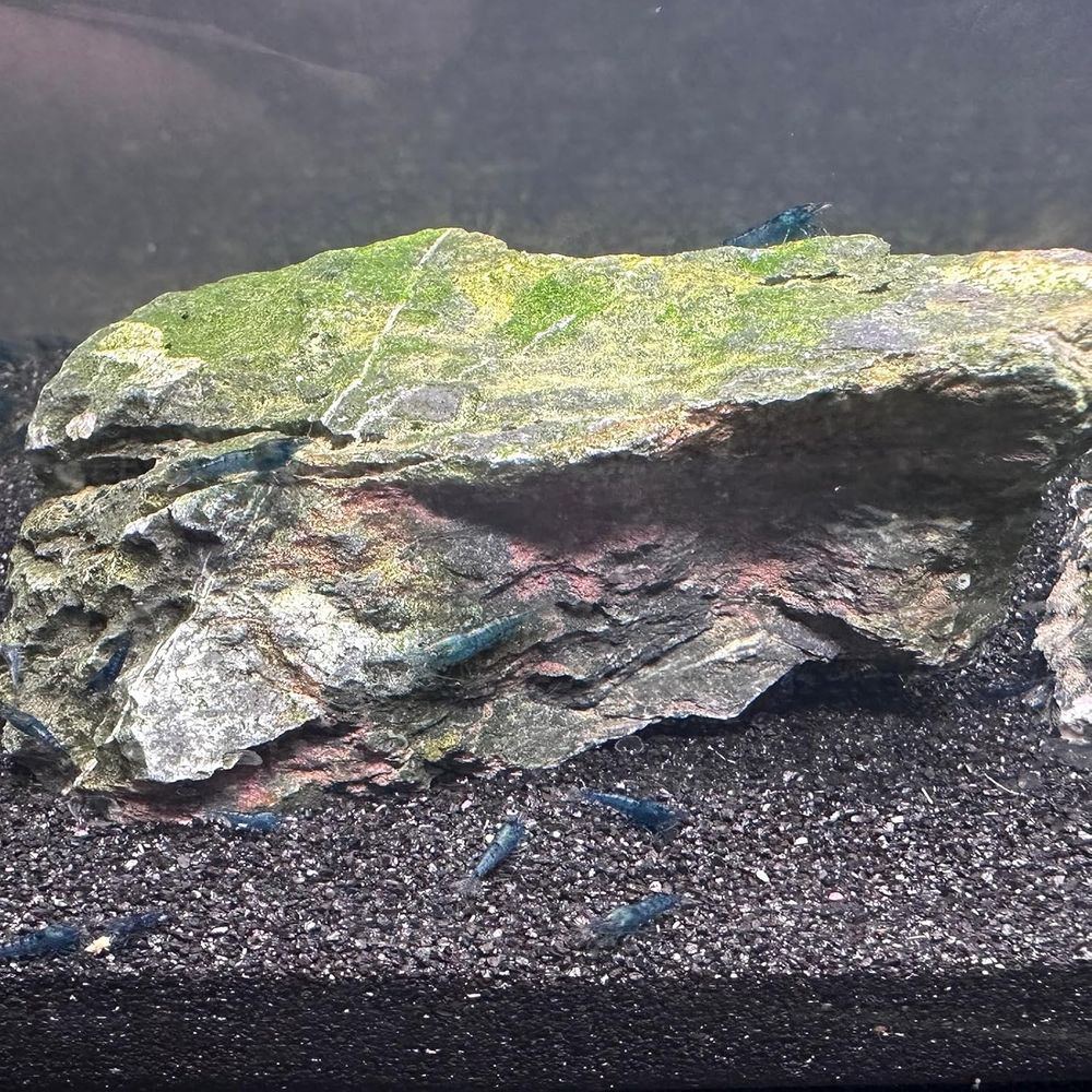 YISZM Aquarium Sand, 20lbs Bla - Aquarium Planted Tank Substrate incelemesi ve fiyatı
