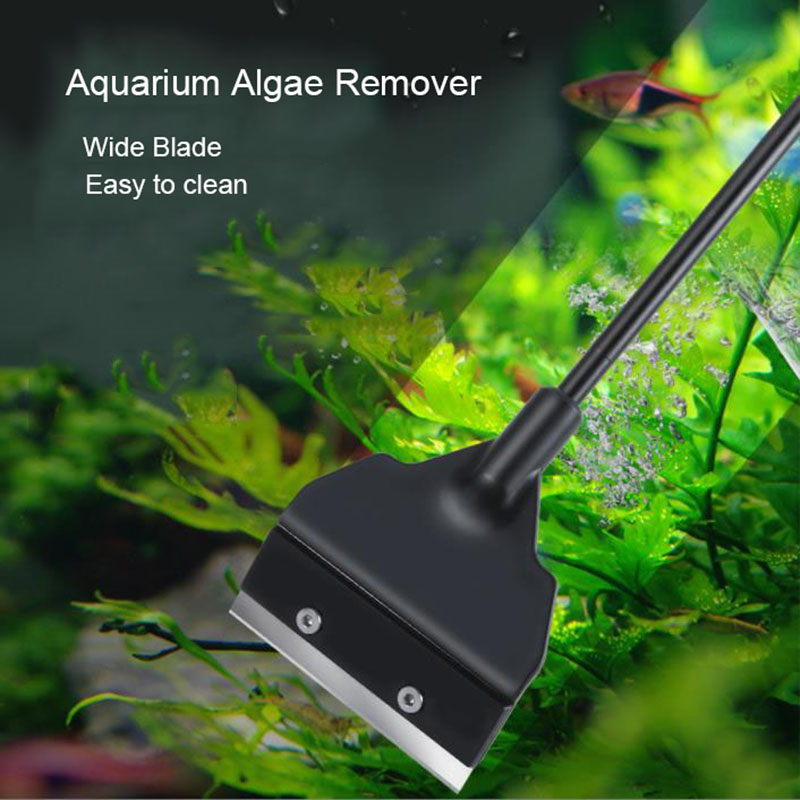 Wide Blade 6cm Light Weight Aq - Planted Aquarium Algae Remover incelemesi ve fiyatı