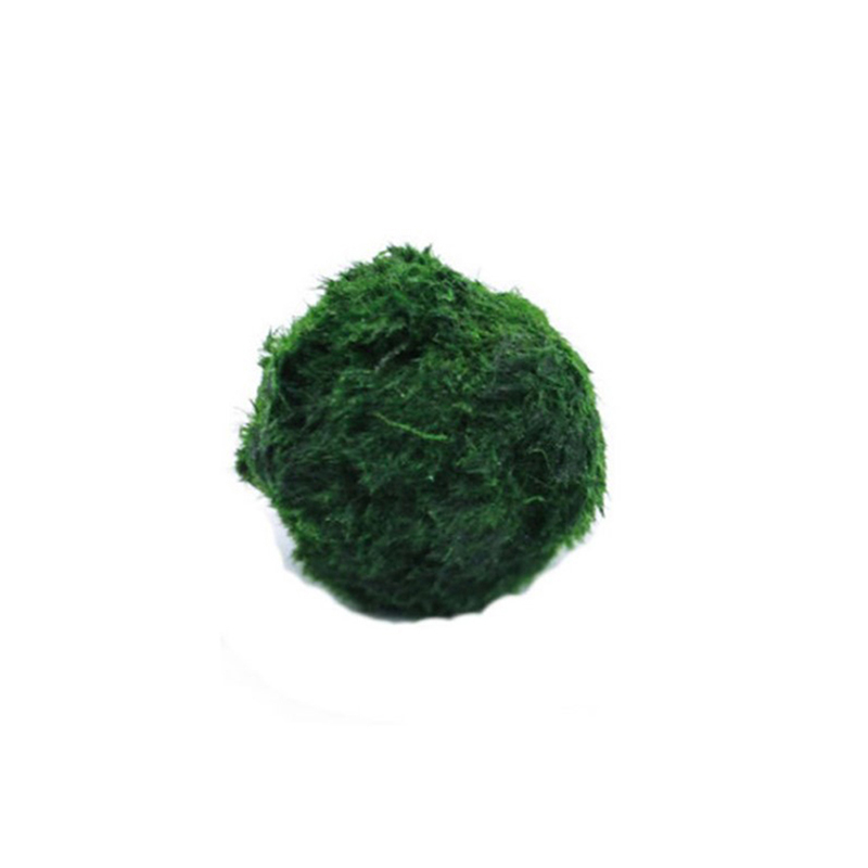 Marimo Moss Balls Live Aquariu - Aquarium Planted Tank Substrate incelemesi ve fiyatı