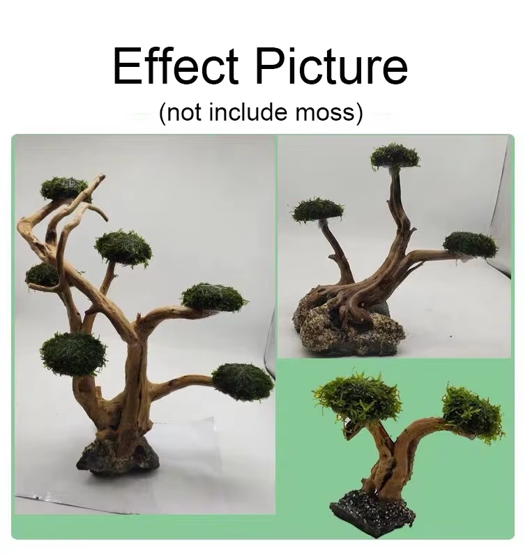 Fish Tank Plant Moss Tree Deco - Planted Aquarium With Driftwood incelemesi ve fiyatı