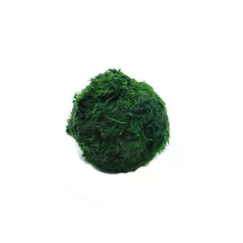 3-4cm Marimo Moss Balls Live A - Aquarium Planted Tank Substrate incelemesi ve fiyatı