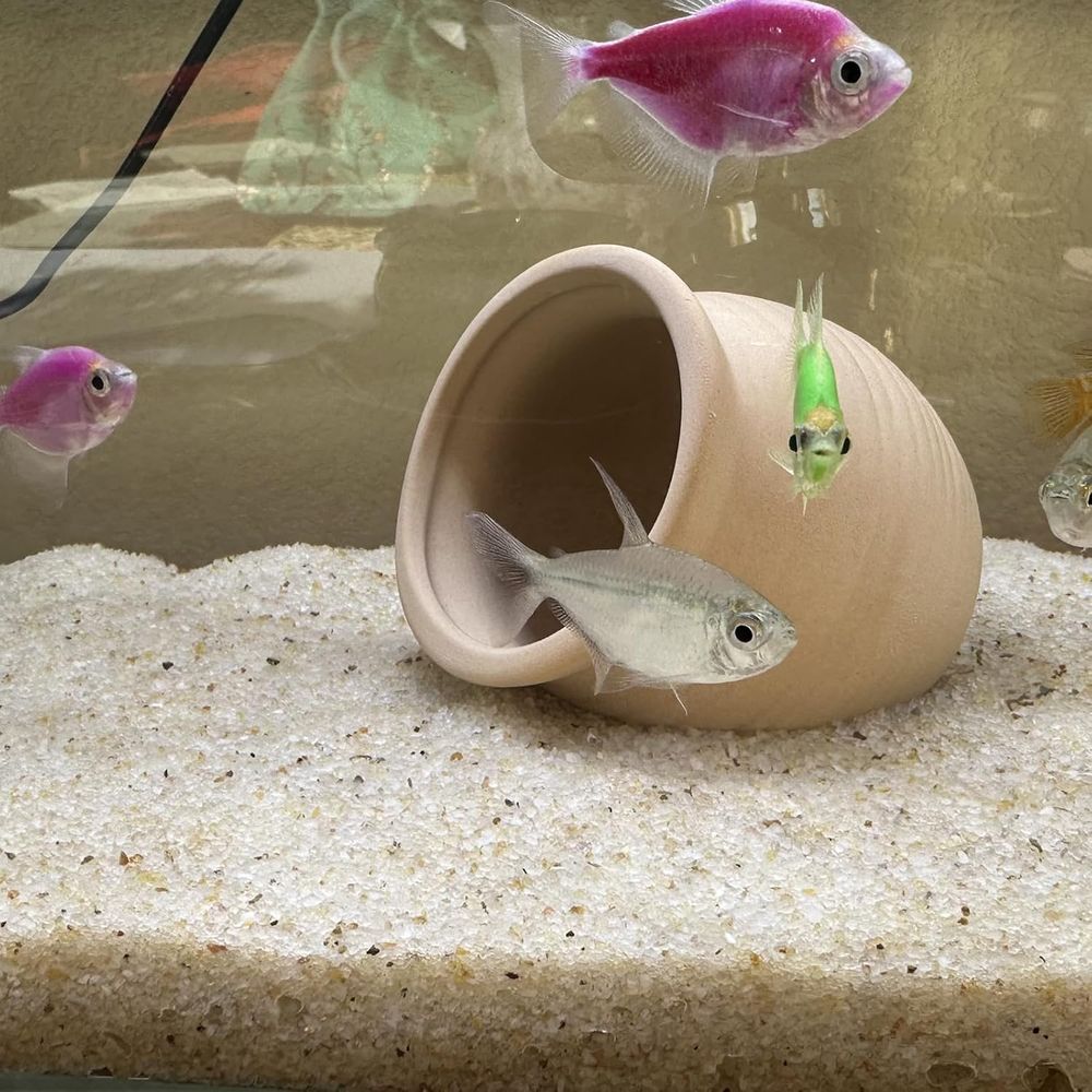 YISZM Aquarium Sand, 20lbs Bei - Aquarium Planted Tank Substrate incelemesi ve fiyatı