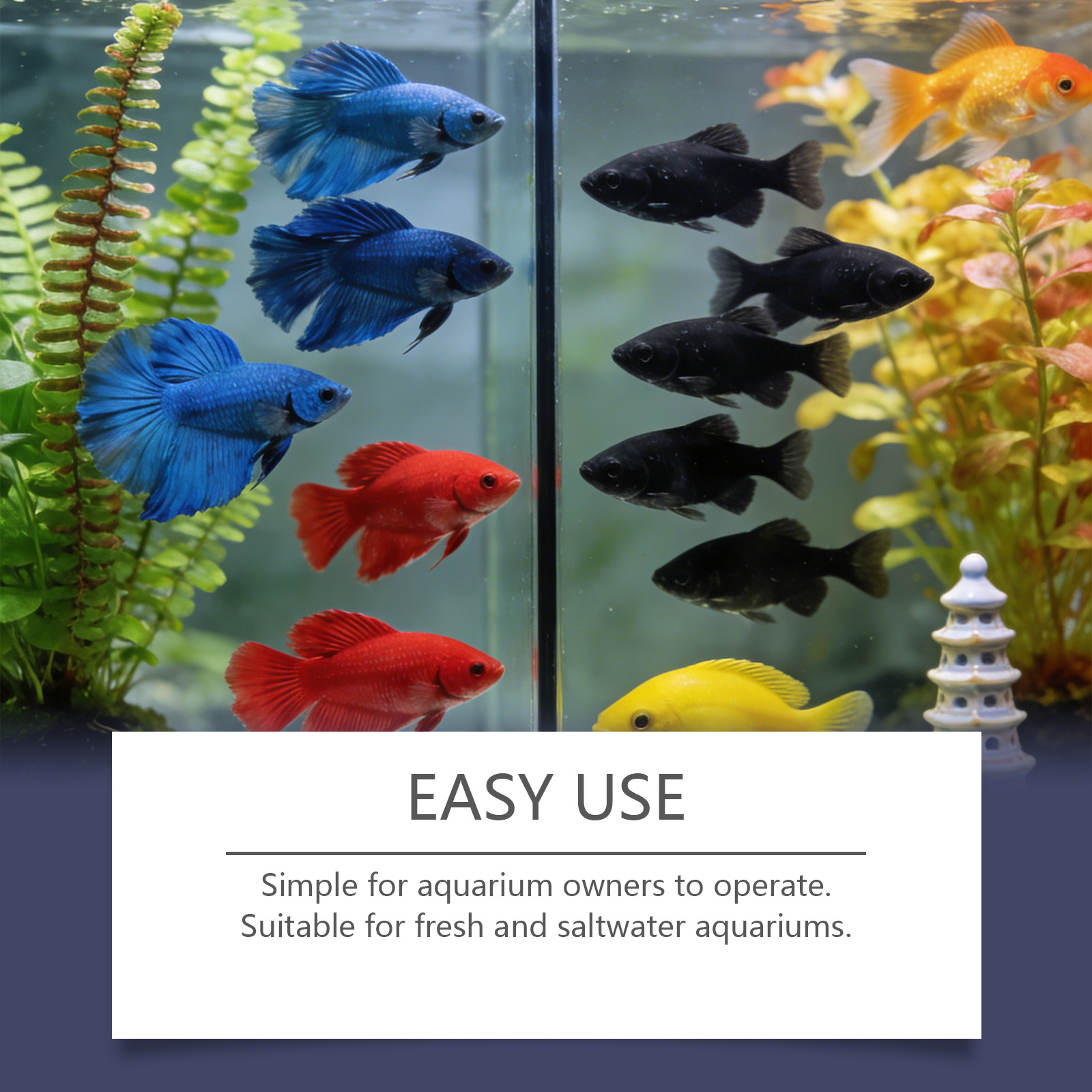 Algae Remover Tablets for Aqua - Planted Aquarium Algae Remover incelemesi ve fiyatı