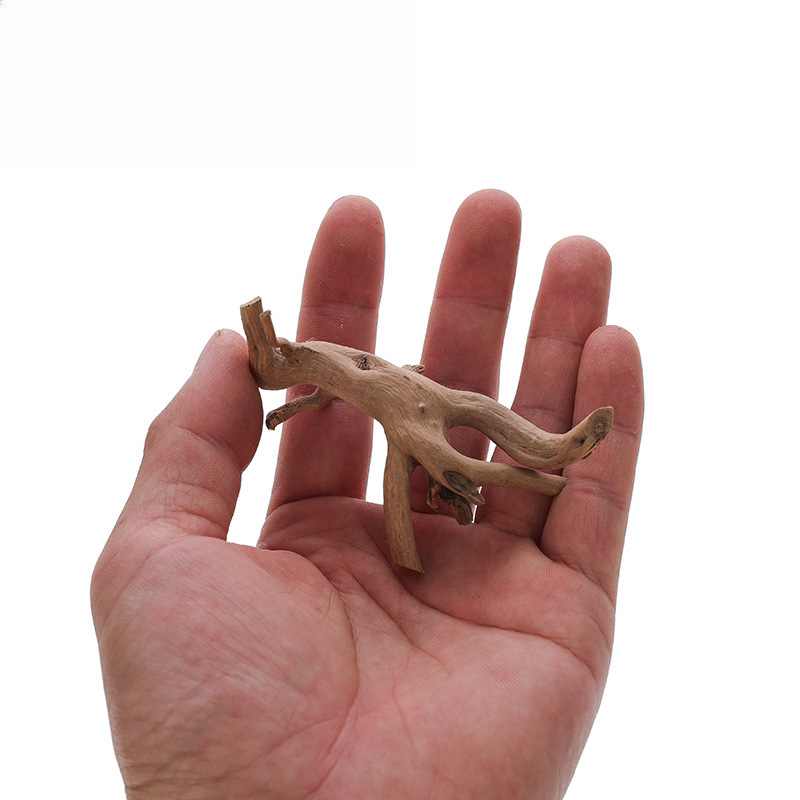 Fish Tank Sunken Wood Decorati - Planted Aquarium With Driftwood incelemesi ve fiyatı