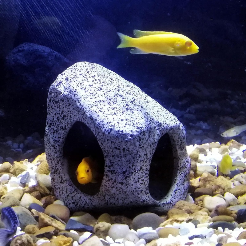 Fish Tank Cave Stone Landscapi - Aquarium Plant Grass incelemesi ve fiyatı