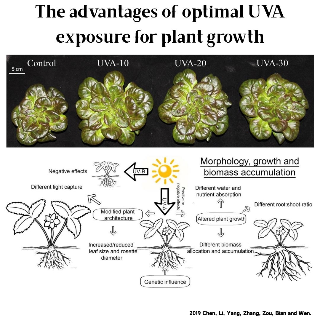 Week Aqua M Series RGB+UV Wate - Planted Aquarium Uv Light incelemesi ve fiyatı