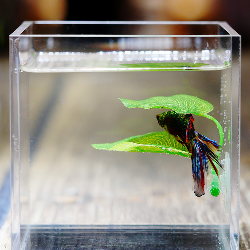Artificial Aquarium Leaf Plant - Planted Aquarium Betta incelemesi ve fiyatı