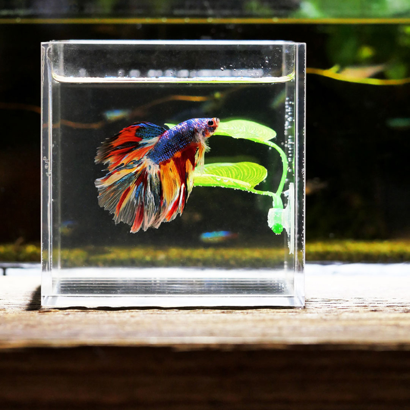Artificial Aquarium Leaf Plant - Planted Aquarium Betta incelemesi ve fiyatı