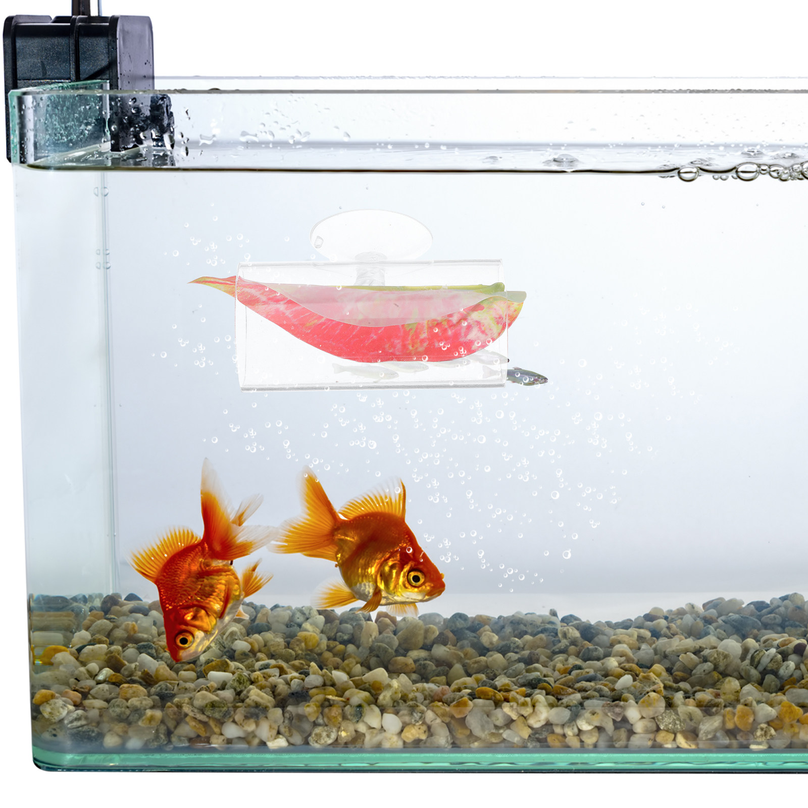 Betta Hide Cave Acrylic Tunnel - Planted Aquarium Betta incelemesi ve fiyatı