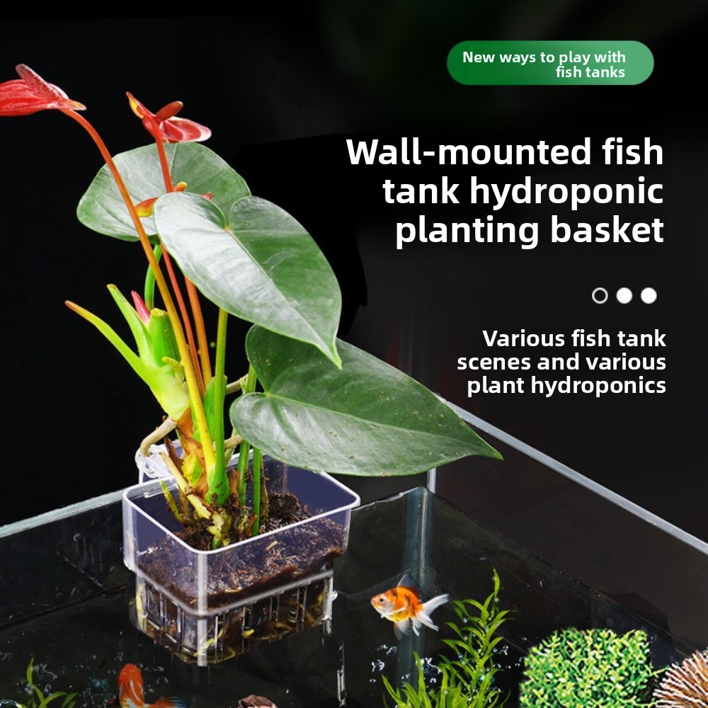 Aquarium Hydroponic Planting B - Aquarium Plant Grass incelemesi ve fiyatı