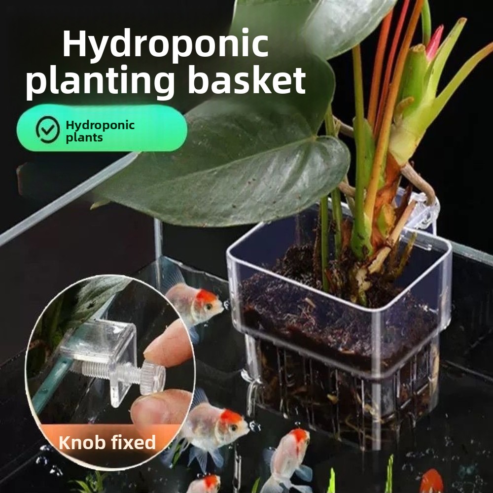 Aquarium Hydroponic Planting B - Aquarium Plant Grass incelemesi ve fiyatı