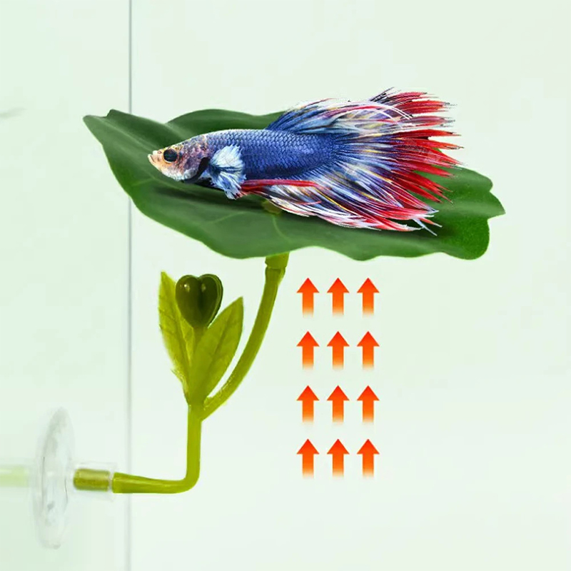 1 Pc For Betta Fish Stress-Red - Planted Aquarium Betta incelemesi ve fiyatı