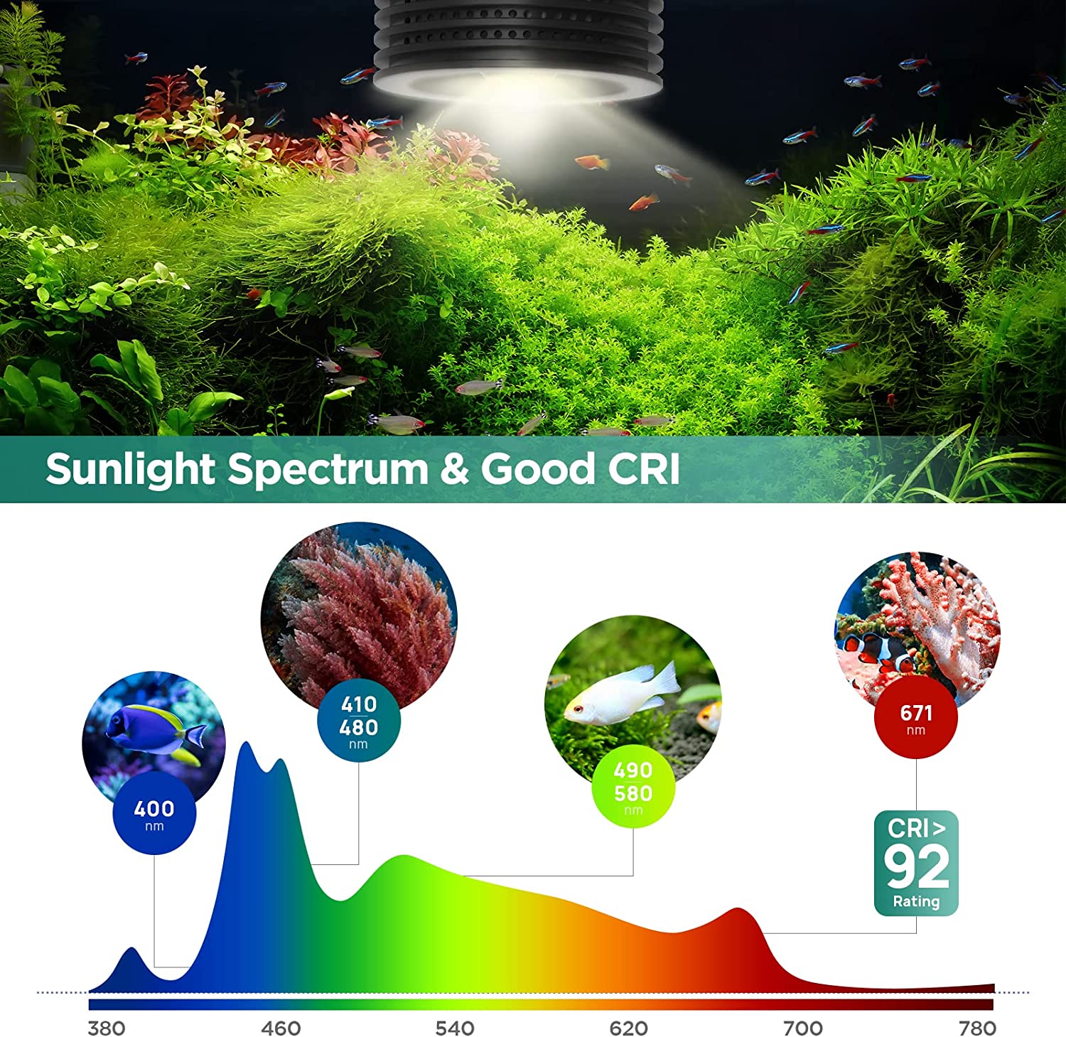 Lominie Asta 20 Freshwater 18W - Planted Aquarium Uv Light incelemesi ve fiyatı