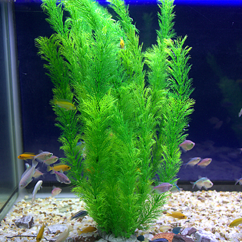 30cm Aquarium Artificial Water - Non Planted Aquarium Fish incelemesi ve fiyatı